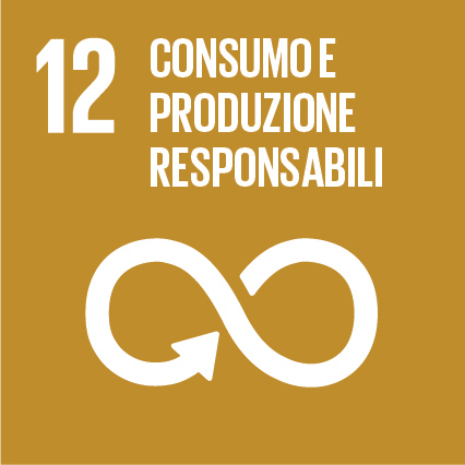 SDG-icon-IT-RGB-12