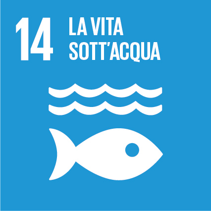 SDG-icon-IT-RGB-14