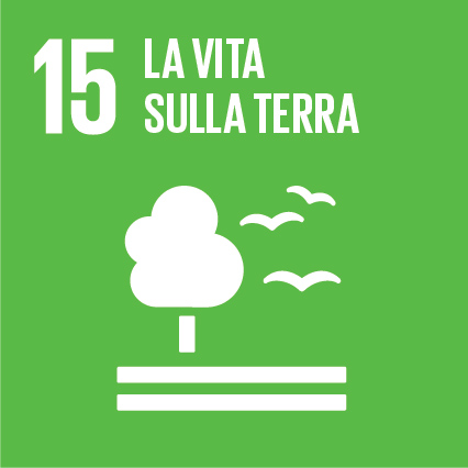 SDG-icon-IT-RGB-15