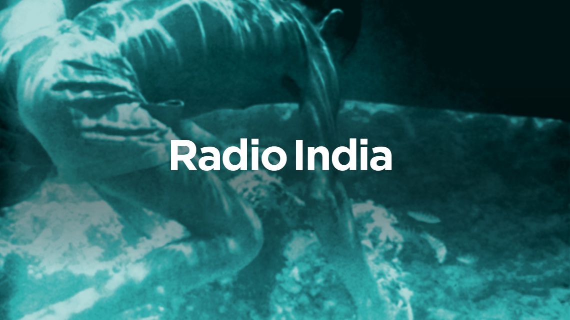 Radio India-Le compagnie residenti al Teatro India in diretta tutti i giorni dalle ore 17.00 alle ore 20.00
