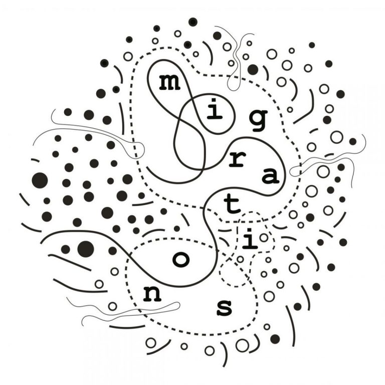 Conferenza sulle migrazioni a San Paolo