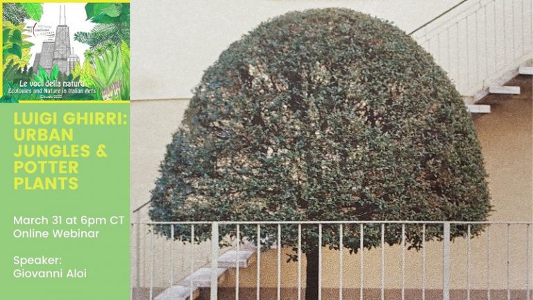 Chicago, webinar su Giungle urbane e piante in vaso