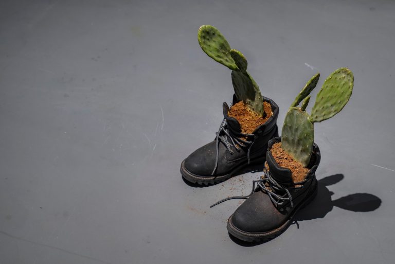 A Shenzhen la nuova mostra di Maurizio Cattelan