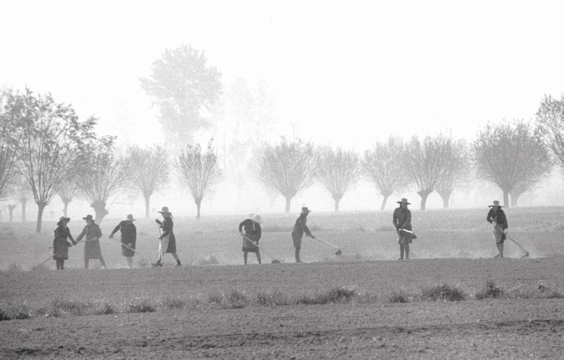 “Polesine, Veneto” (1971)