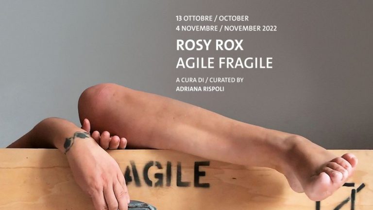 Agile fragile la mostra a Copenaghen di Rosy Rox