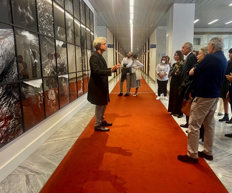 Antonio Biasiucci, “Magma” (1987-1995), 44 stampe inkjet, 7,92 x 2,96 m. ©Antonio Biasiucci. Courtesy Magazzino Gallery