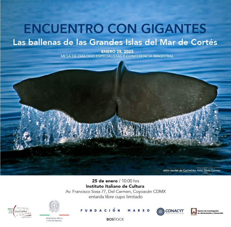 Encuentro con gigantes