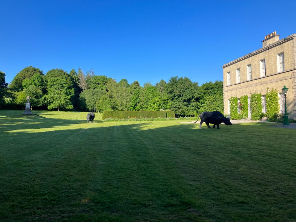 Dublino, Mostra di Davide Rivalta nella Residenza dell’Ambasciatore