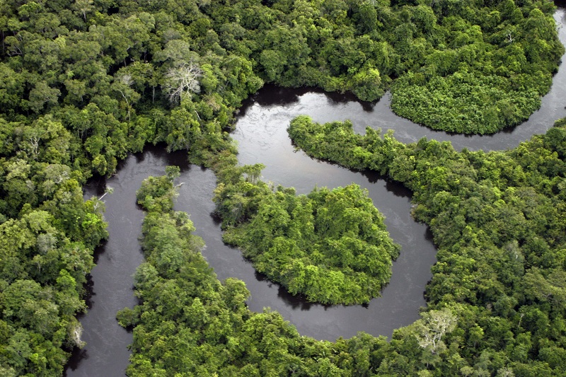 Forest river