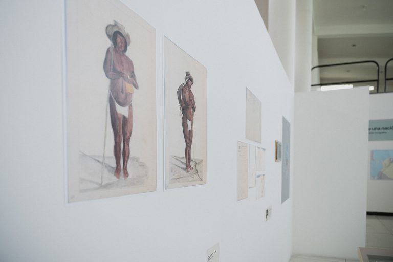Colombia, la mostra sul cartografo ed esploratore Codazzi - Credits: Julián Berroteran