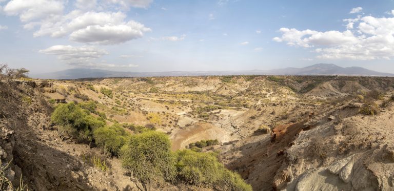 Tanzania: nuove scoperte nella Gola di Olduvai Tanzania: nuove scoperte nella Gola di Olduvai