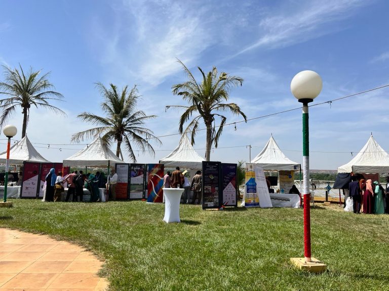 Niamey, Giornata della cooperazione italo-nigerina