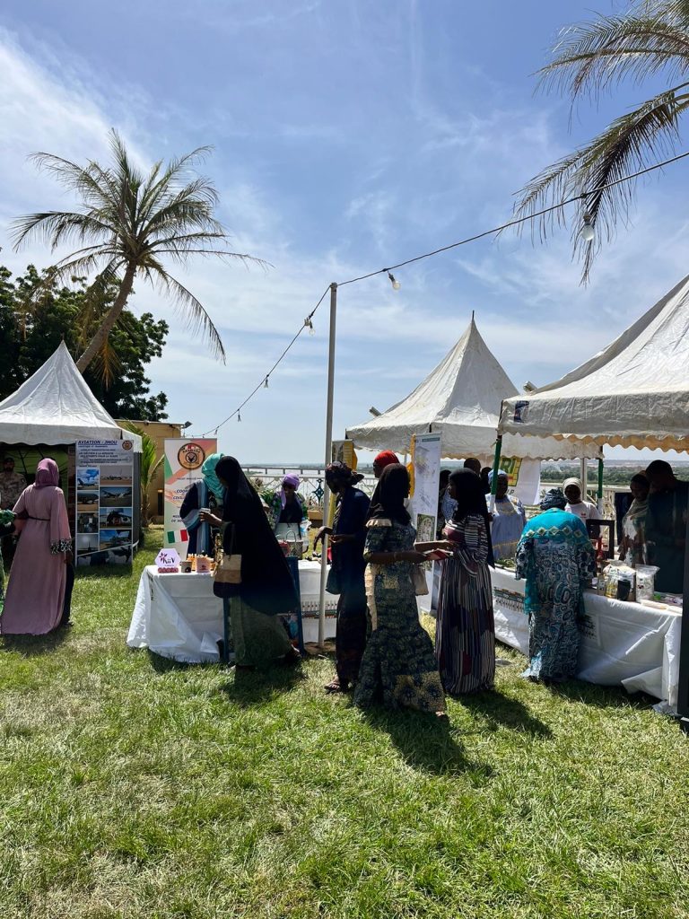 Niamey, Giornata della cooperazione italo-nigerina