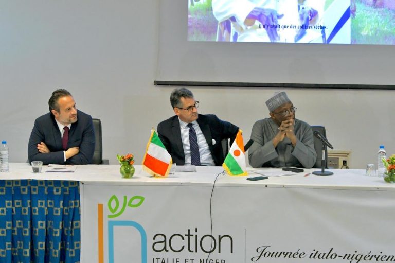 Niamey, Giornata della cooperazione italo-nigerina