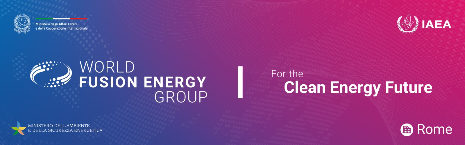 world fusion energy group