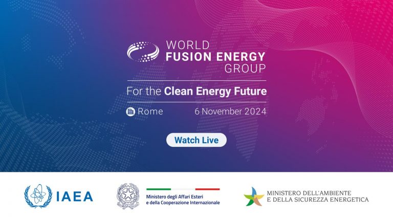 World Fusion Energy Group