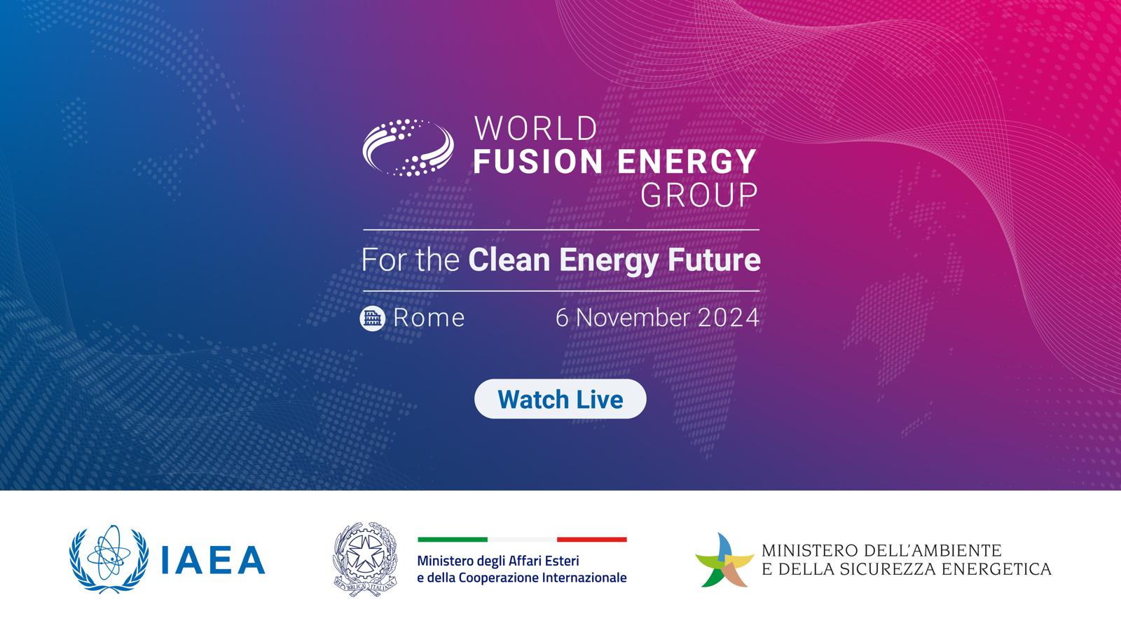 World Fusion Energy Group