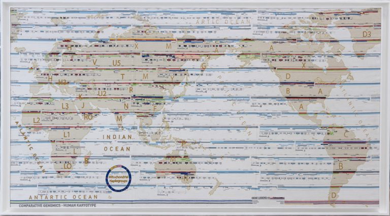 New Delhi, Genes Mundi: Il tessuto del Mondo