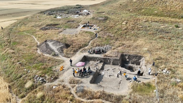 L’Area F vista da nord, al centro in basso (2024)