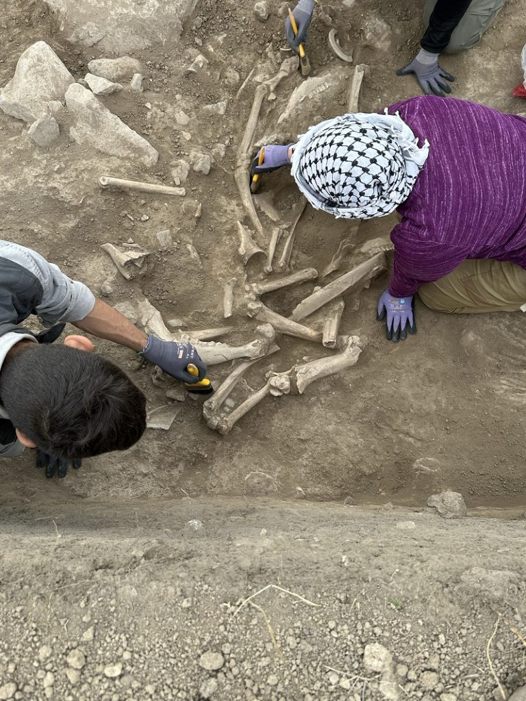 Resti animali rinvenuti in una grande fossa di epoca tarda nell’Area F in corso di scavo