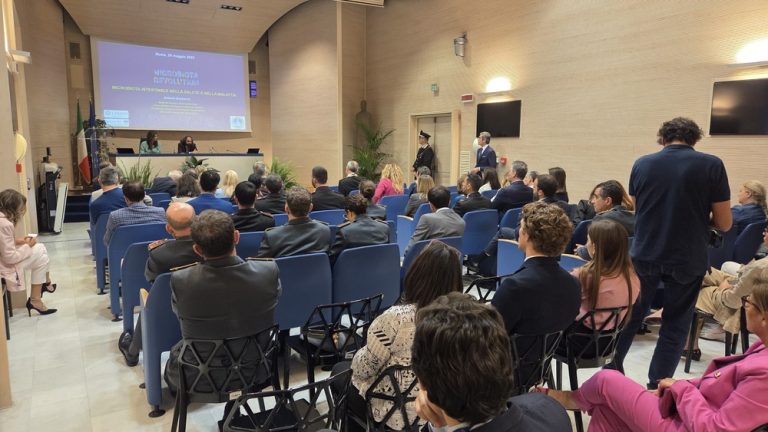 Diplomazia della Solidarietà