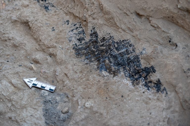 Resti di stuoia che avvolgeva il corpo di un infante all’interno di una tomba / Remains of a mat that wrapped the body of an infant inside a tomb