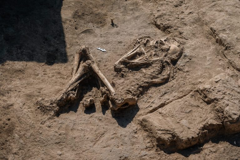Scheletro di adulto in posizione rannicchiata all’interno di una stanza con altare / Adult skeleton in a crouched position inside a room with an altar