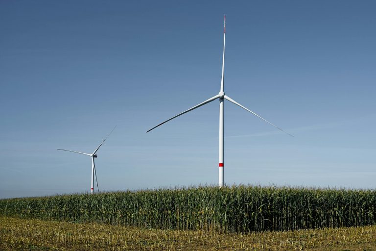 Competitività e autonomia strategica, il nuovo corso dell'Unione dell'Energia tra Piano Draghi e sfide globali