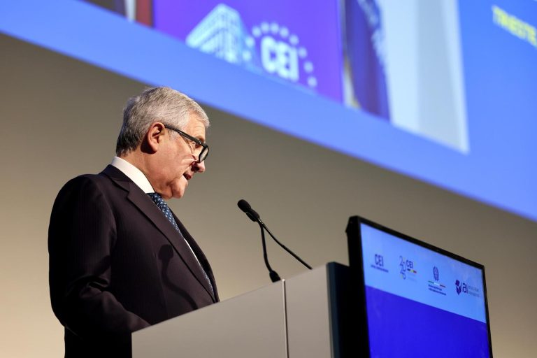 Trentennale InCE e Forum IMEC