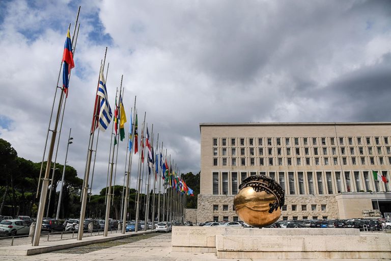notizie Farnesina bandiere