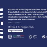 Audizione del Ministro degli Esteri Antonio Tajani e del Ministro della Difesa Guido Crosetto