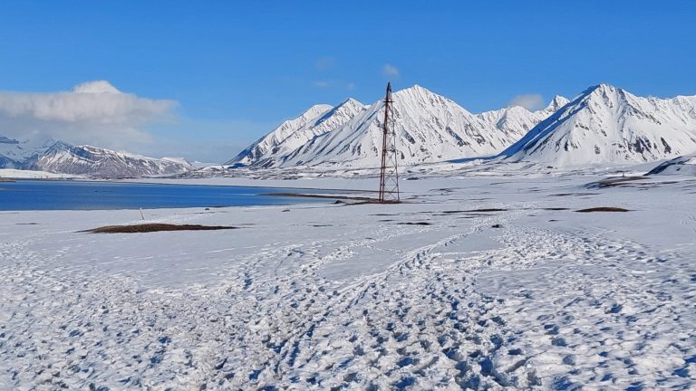 Ny Ålesund