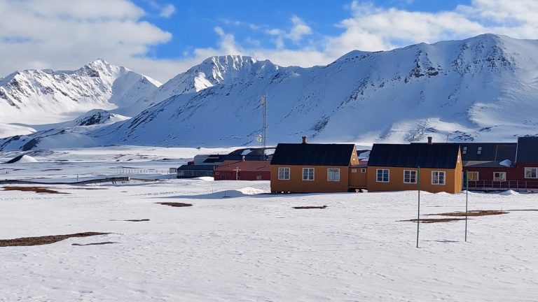 Ny Ålesund