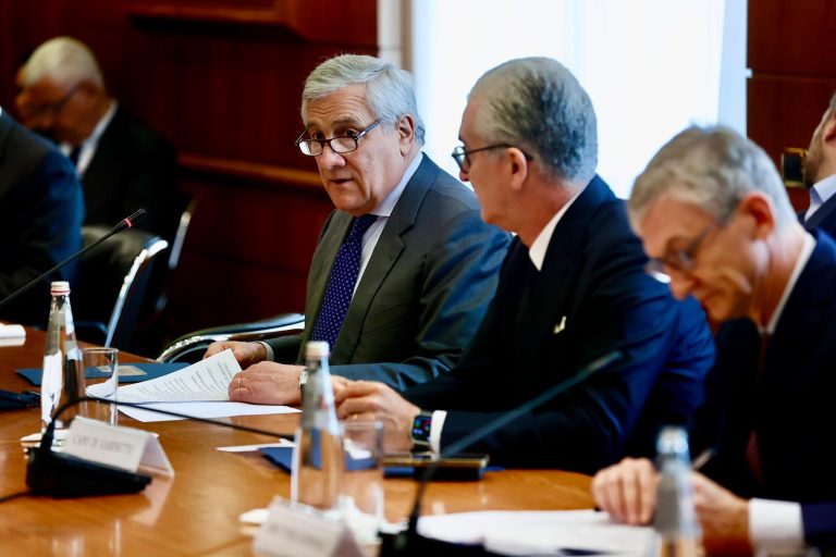 comitato congiunto per la cooperazione allo sviluppo Ministro Tajani