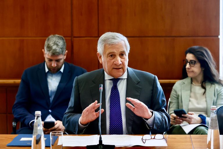 comitato congiunto per la cooperazione allo sviluppo Ministro Tajani
