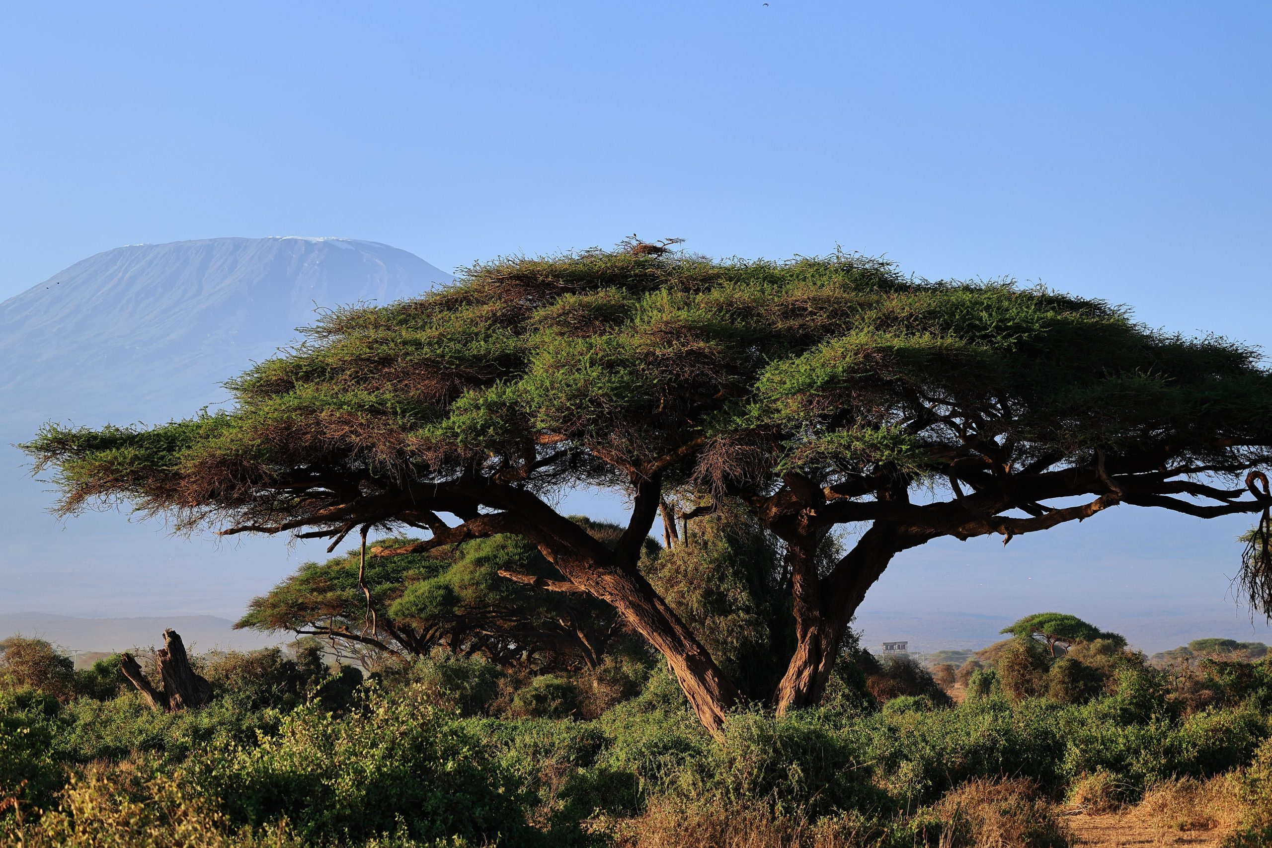 La spinta manifatturiera dell’Africa Orientale nello scenario di libero scambio continentale