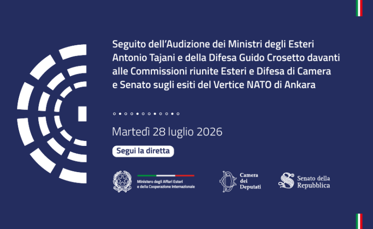 Seguito dell’Audizione dei Ministri Tajani e Crosetto sugli esiti del Vertice NATO di Ankara