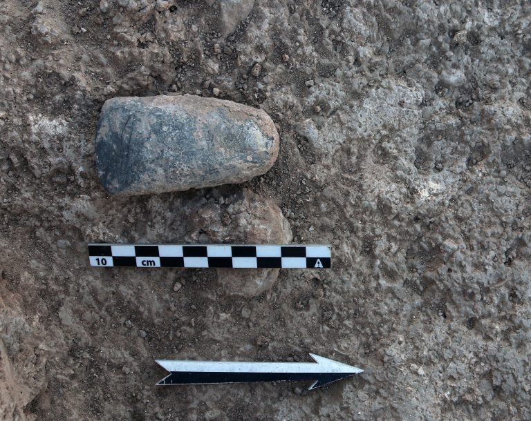 Accetta levigata rinvenuta in una delle trincee scavate nel sito di Oued Beht (foto: H. Benattia, Archivio OBAP) / Polished axe found in one of the trenches excavated at Oued Beht (photo: H. Benattia, OBAP Archive)