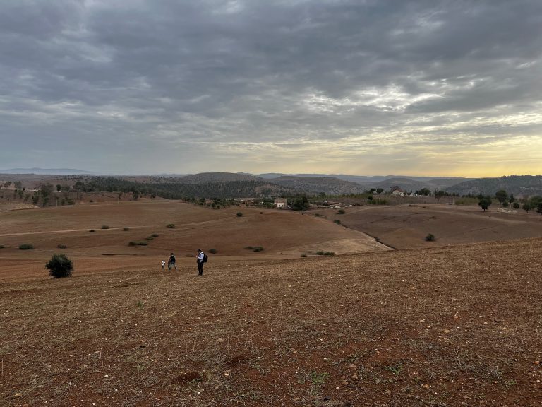 Ricognizione nel paesaggio a nord-ovest del sito di Oued Beht (foto: T. Wilkinson, Archivio OBAP) / Survey of the landscape to the north-west of Oued Beht (photo: T. Wilkinson, OBAP Archive)