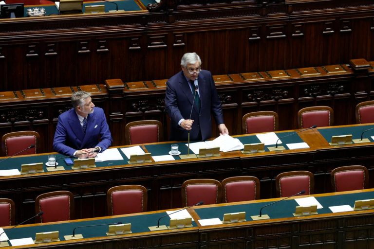 Il Ministro Antonio Tajani ha partecipato alla sessione di Question Time alla Camera