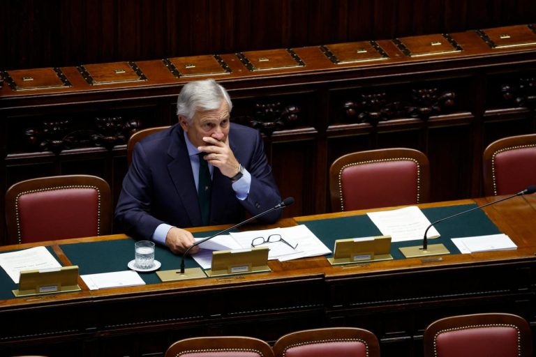 Il Ministro Antonio Tajani ha partecipato alla sessione di Question Time alla Camera